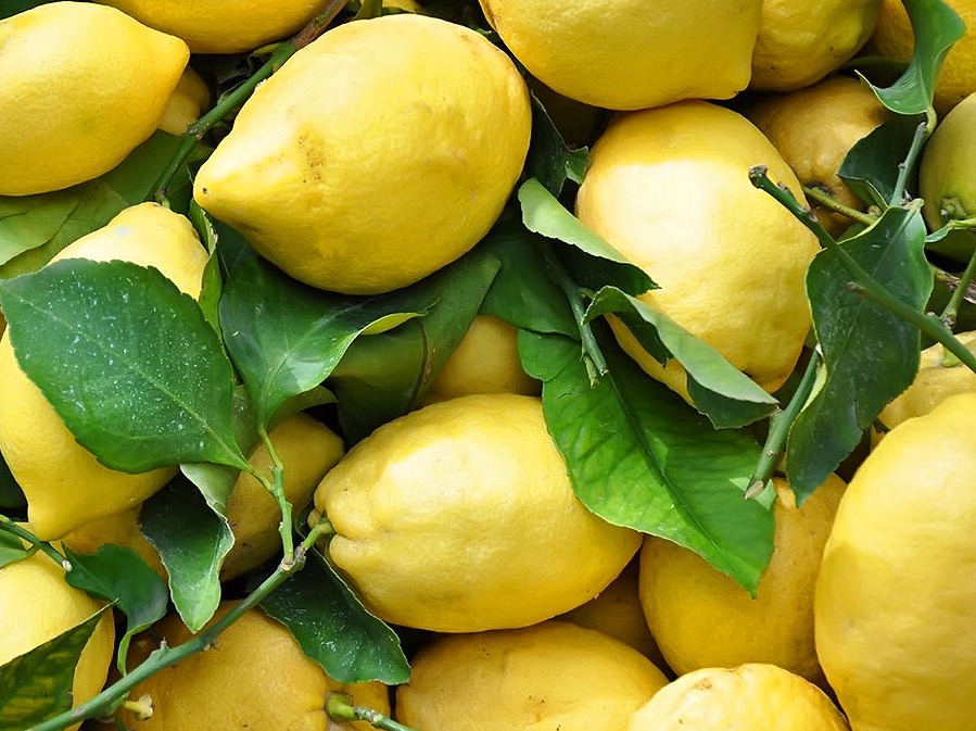 Crema al cocco e&nbsp;limone