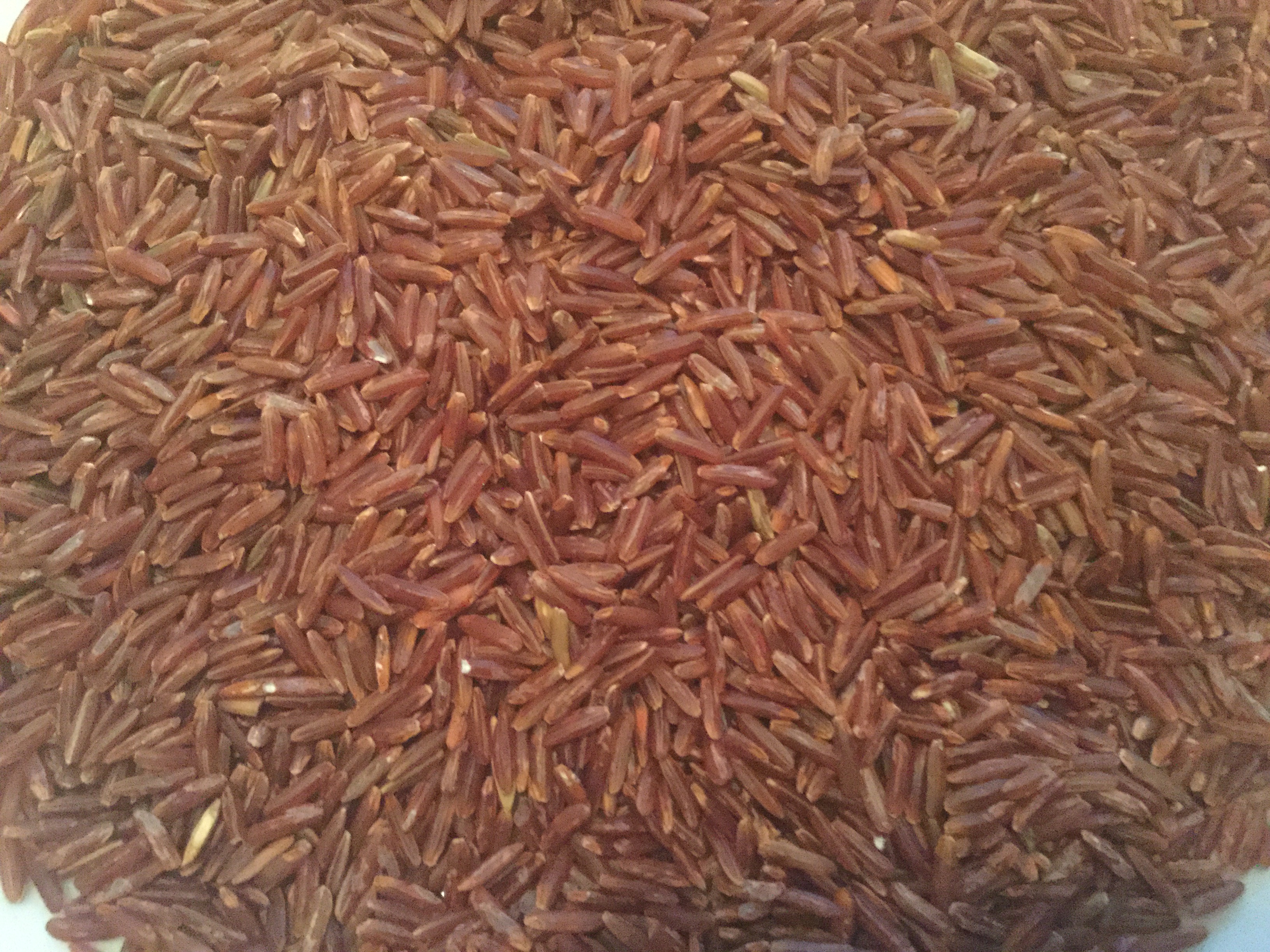 5B92E89F-E222-4F85-AC61-3B327F4D33C3