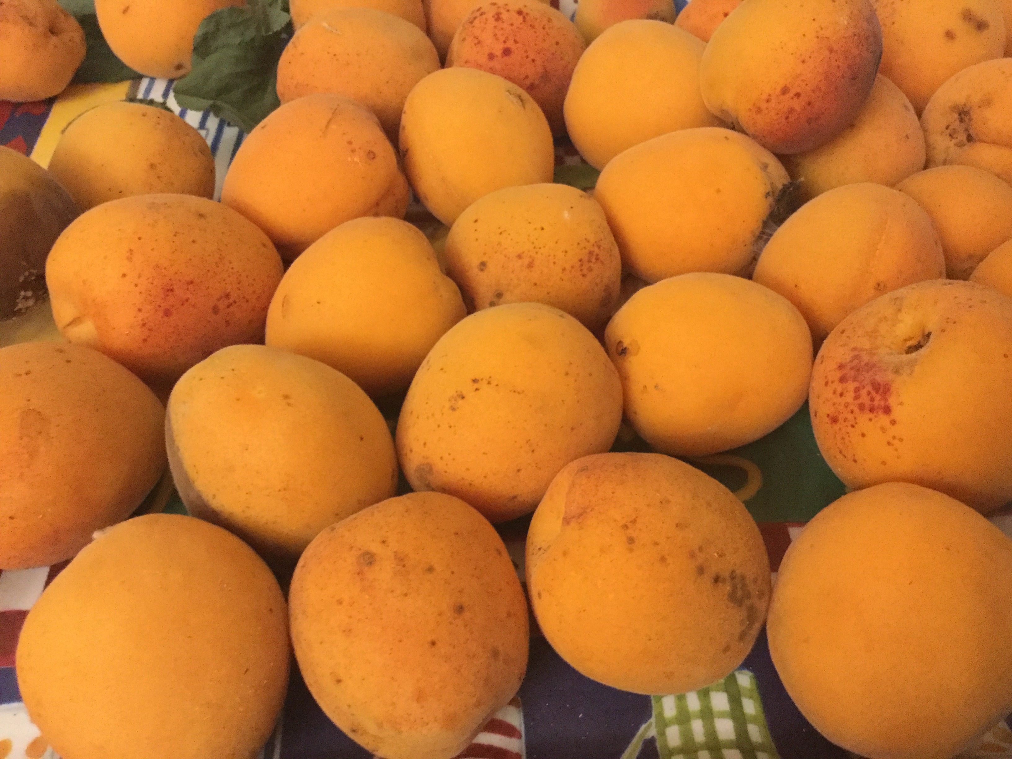 9603C566-E2D1-4AD9-B031-3129308A28F0