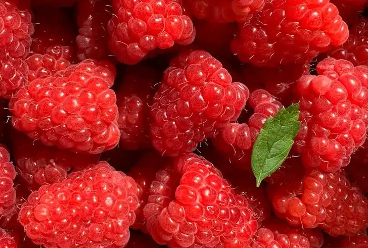 Insalata di mare con lamponi e&nbsp;menta